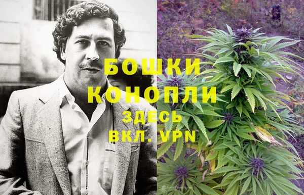 гидропоника Горнозаводск
