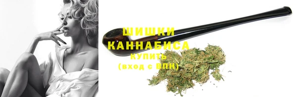 гидропоника Горнозаводск