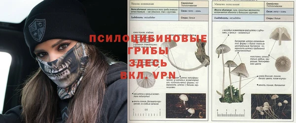 дистиллят марихуана Горно-Алтайск
